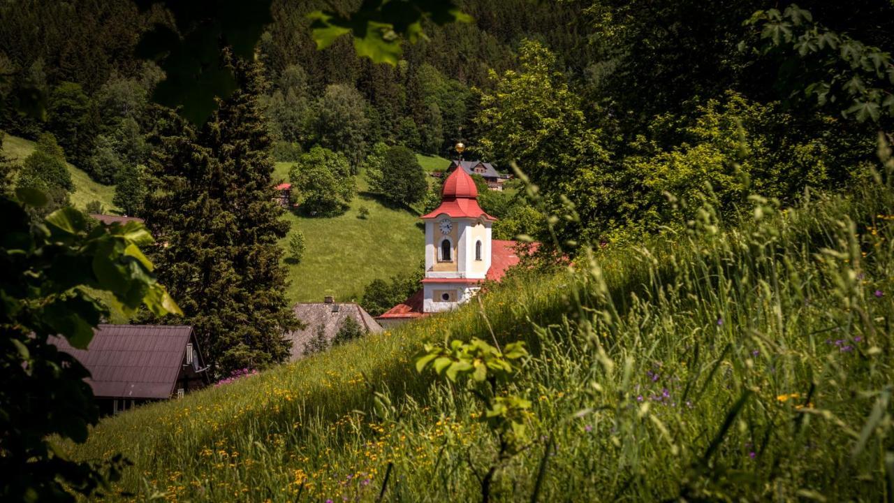 Pension U Pece Pec pod Snezkou Exterior foto