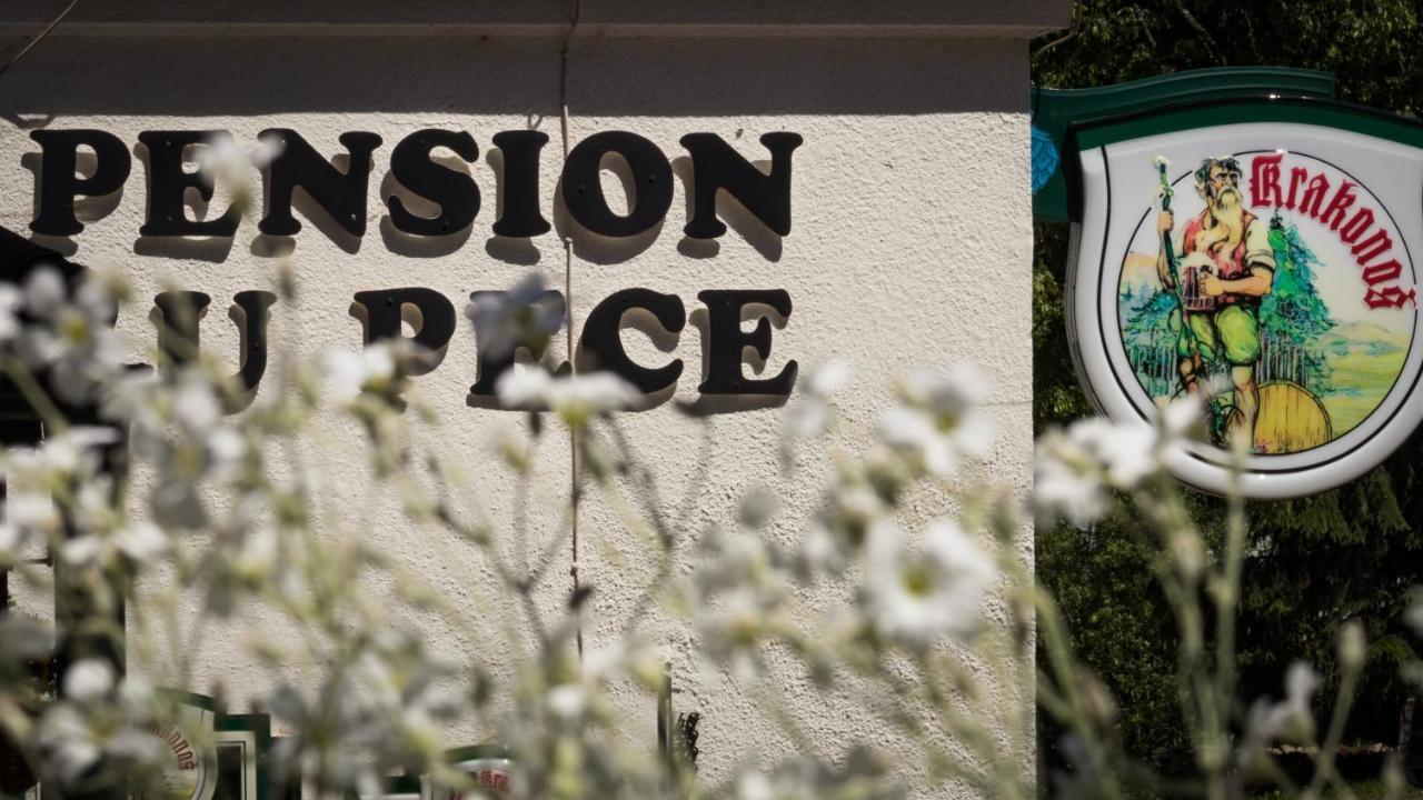 Pension U Pece Pec pod Snezkou Exterior foto